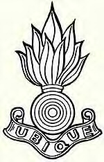owww logo